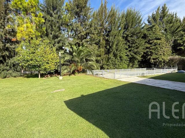 place photo 53