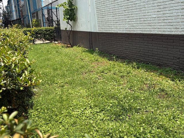 place photo 24