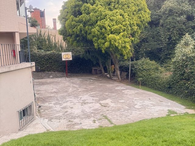 place photo 34