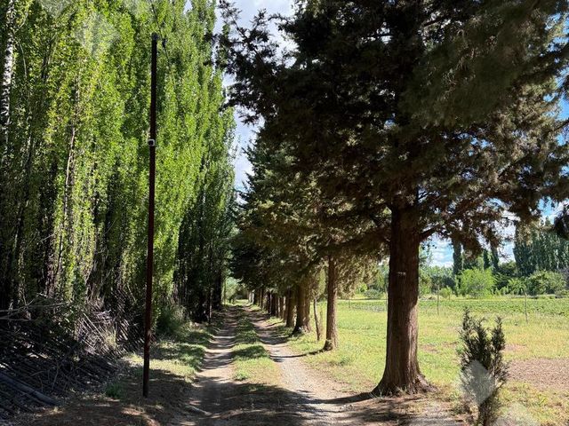 place photo 40