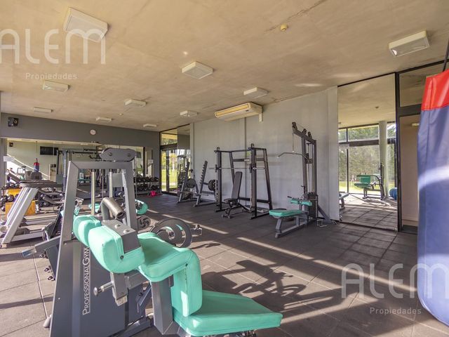 place photo 41