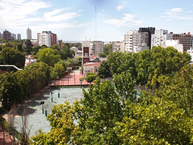 place photo 34