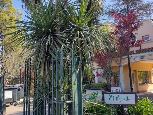 place photo 37