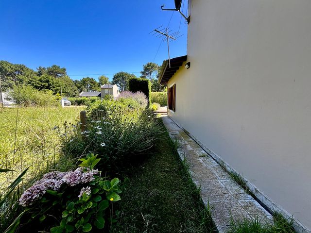 place photo 61