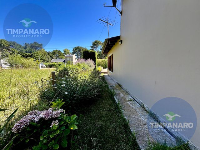 place photo 61