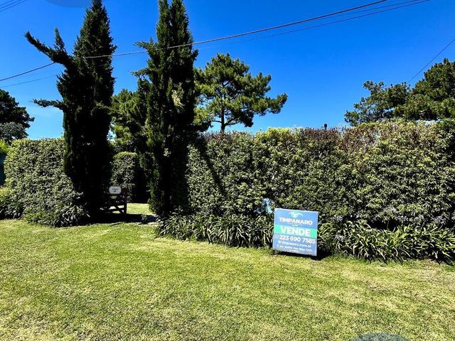 place photo 67