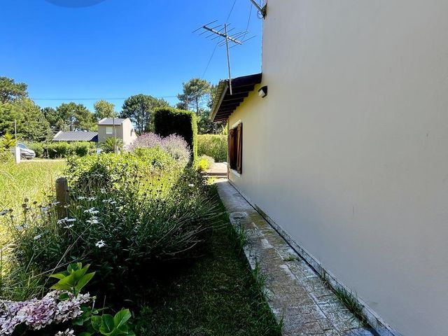 place photo 62