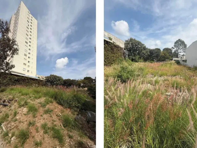 Terreno en venta en Bosque Monarca, Morelia, Michoacán de Ocampo