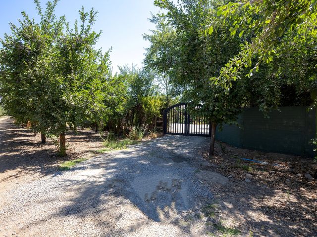 place photo 50
