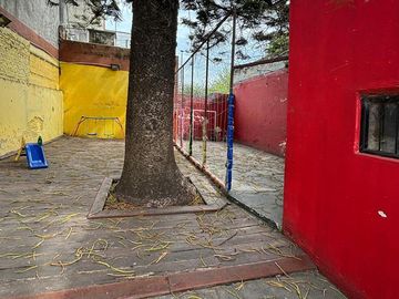 place photo 10