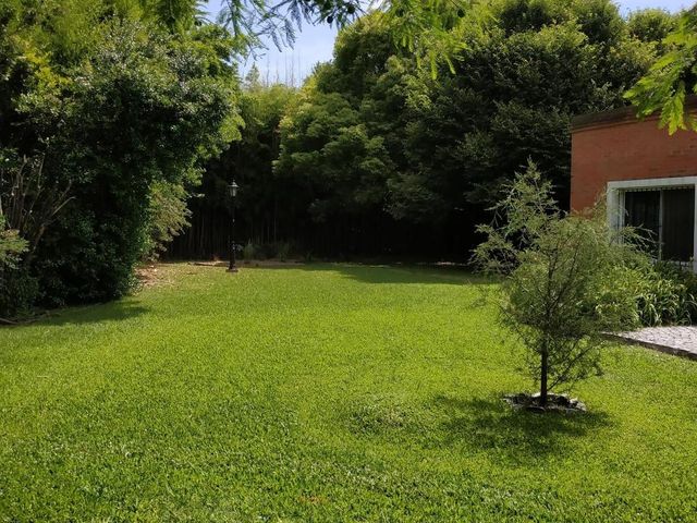 place photo 44
