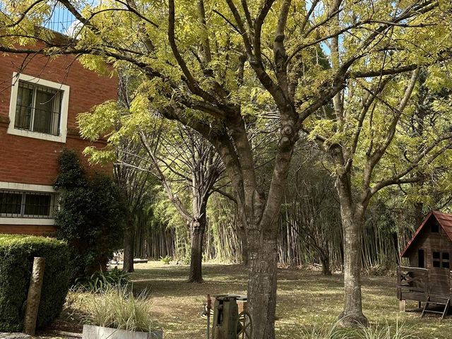 place photo 43