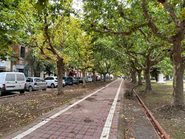 place photo 27