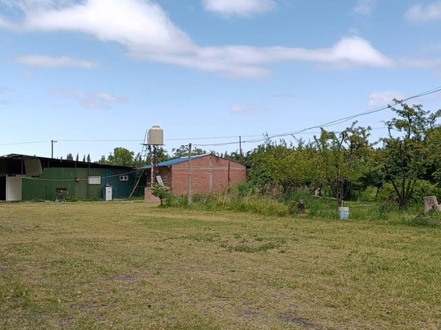 place photo 11