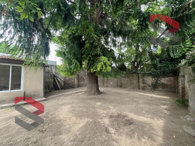 place photo 27