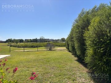 place photo 24