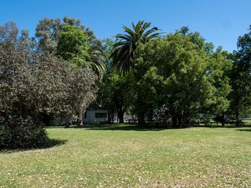 place photo 56