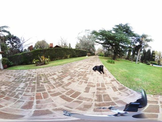 place photo 30