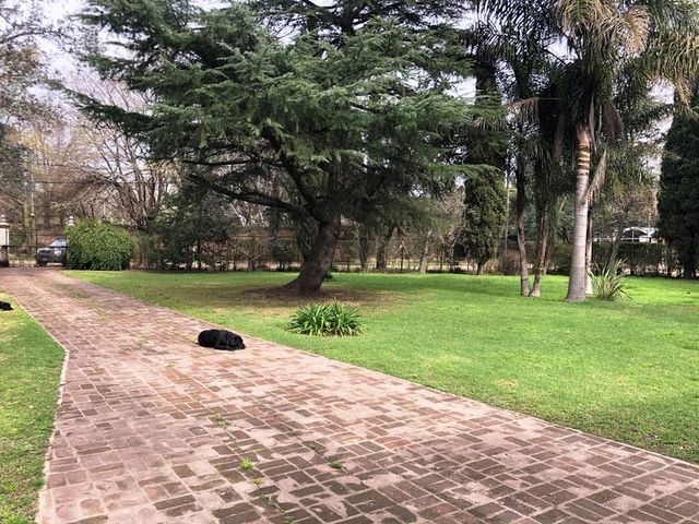 place photo 21