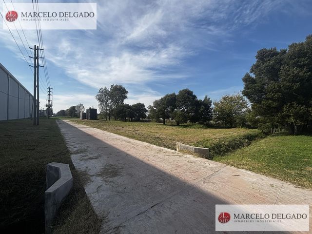 place photo 8