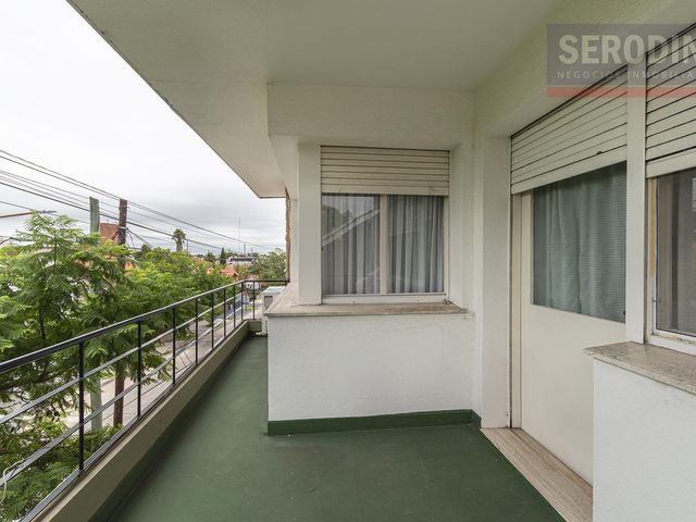place photo 26
