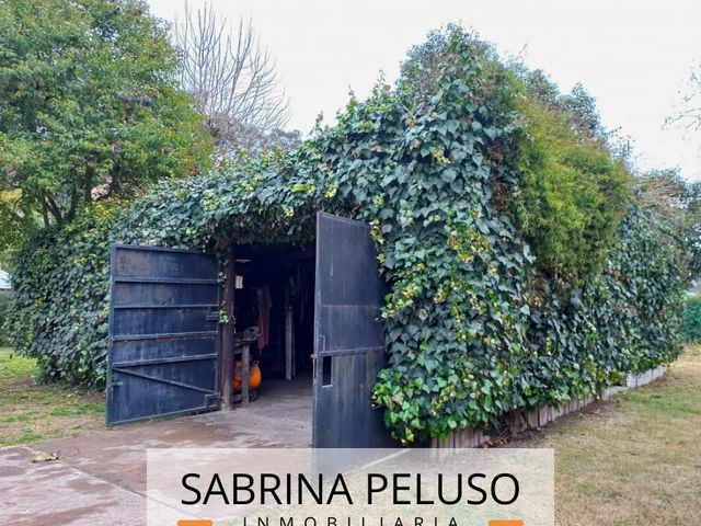 place photo 36