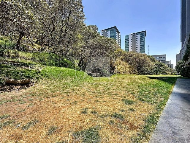 place photo 49
