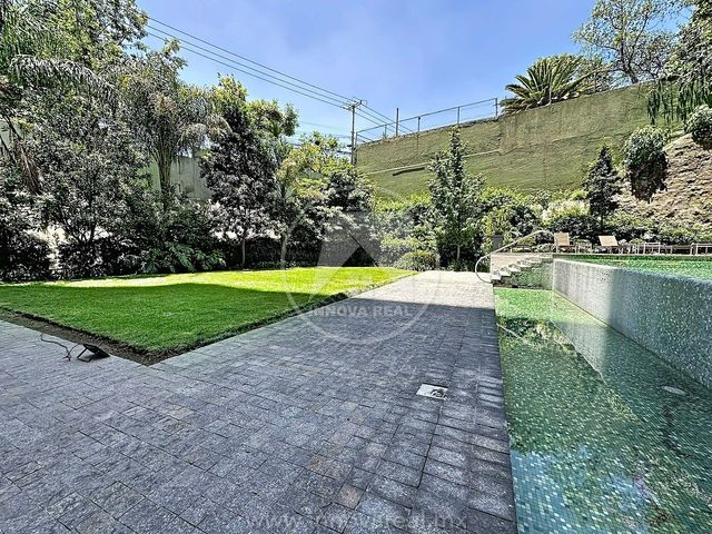 place photo 42