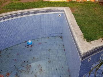 place photo 45