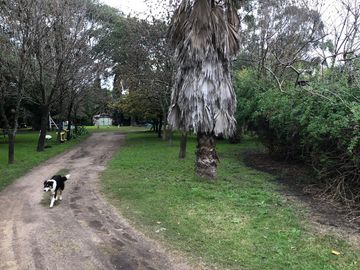 place photo 29