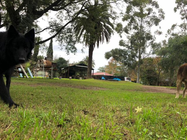 place photo 16