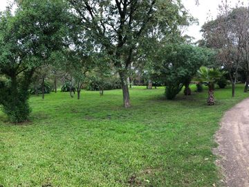 place photo 31