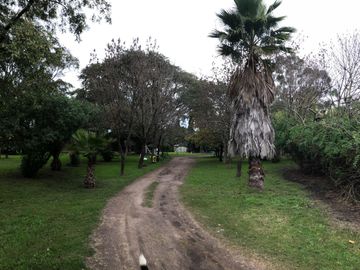 place photo 30