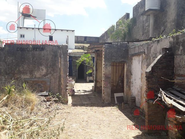 place photo 21