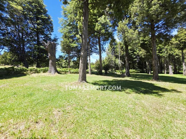 place photo 83