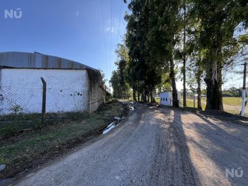 place photo 15