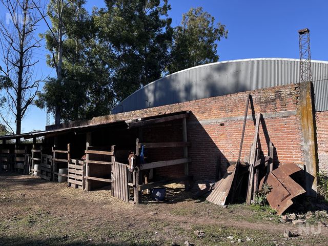 place photo 16