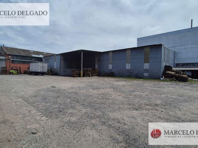 place photo 26