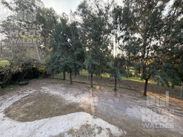 place photo 24