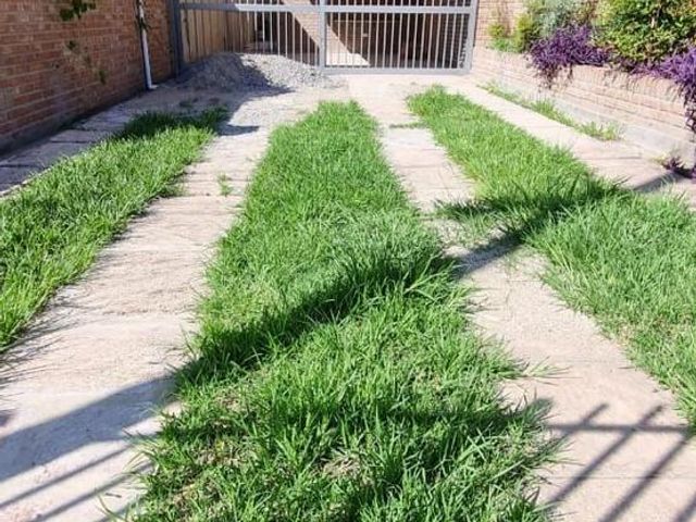 place photo 29