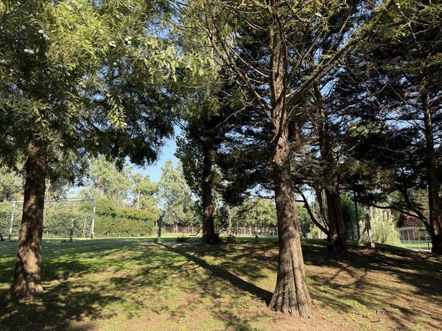place photo 46