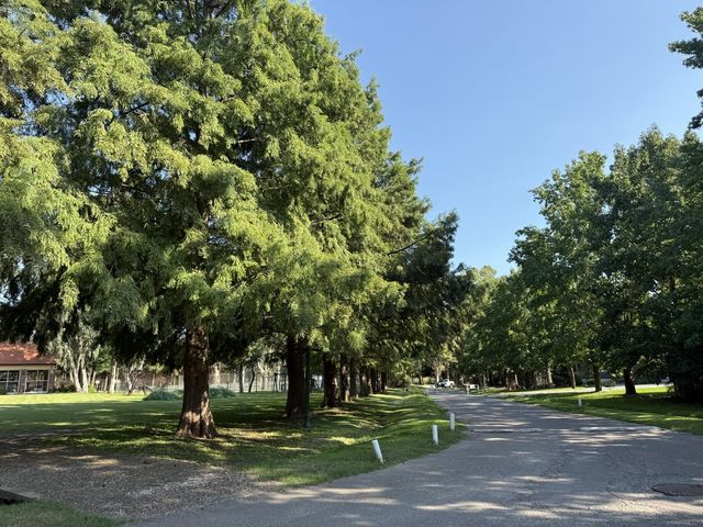 place photo 44