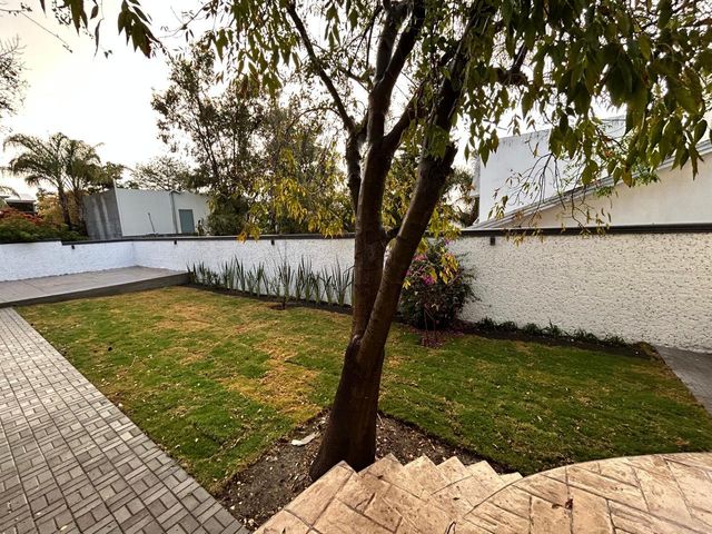 place photo 46