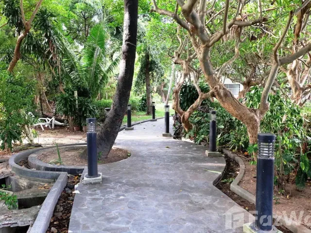 place photo 18