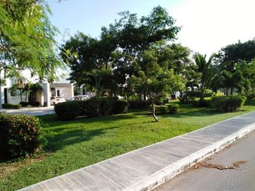 place photo 22