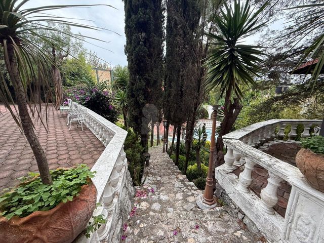 place photo 50