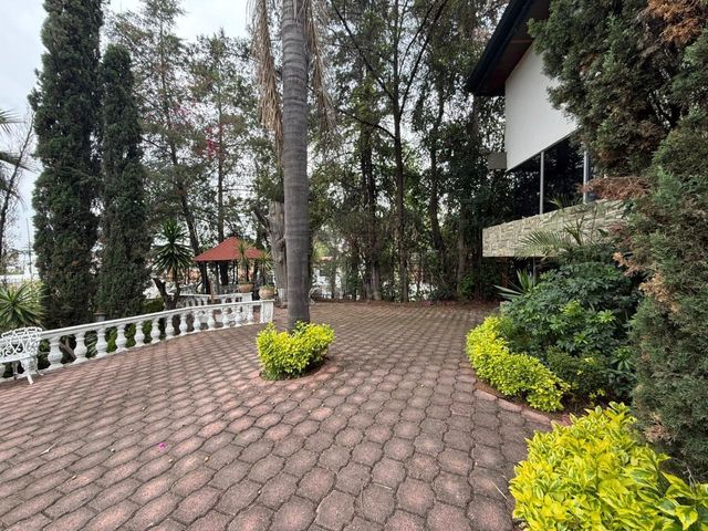 place photo 49