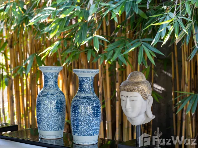 place photo 49