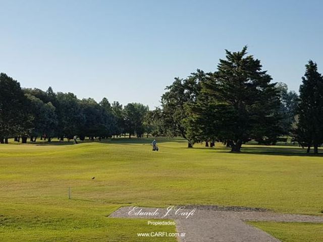 place photo 36