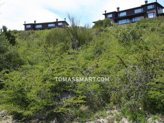 place photo 24